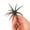 Green Pumpkin, variant on Berkley PowerBait® MaxScent 'Moeba, 3.5 in, Creatures, Bloodshot (1-count)