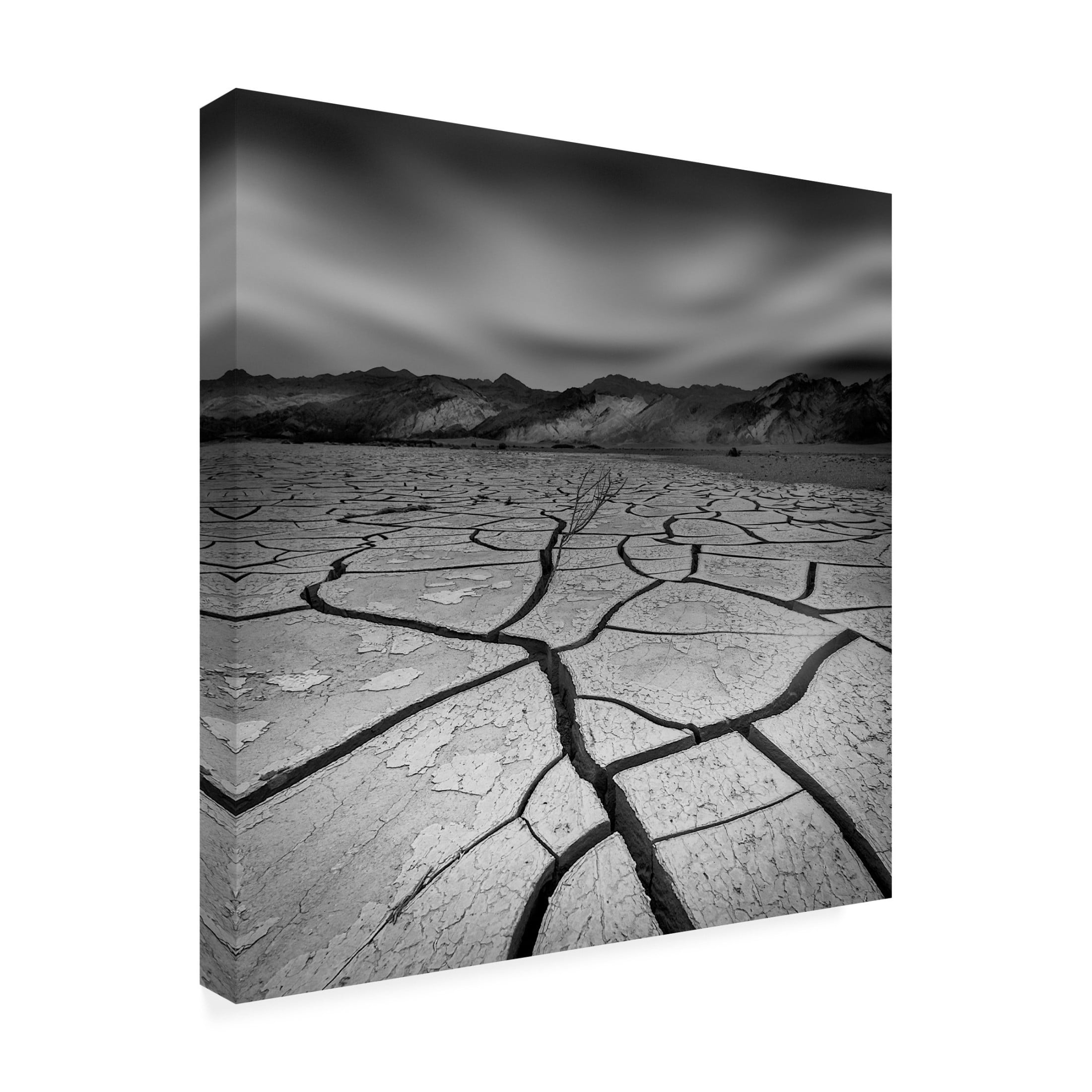 Canvas Wall Art - Yi Fan 'Desperate' Wall Art for Living Room, Bedroom, or Office Décor by Trademark Fine Art - 14 x 14 Inches