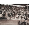 Avanti Press Crowd of People in Stands at Baseball Stadium Vintage Photo Congratulations Card
