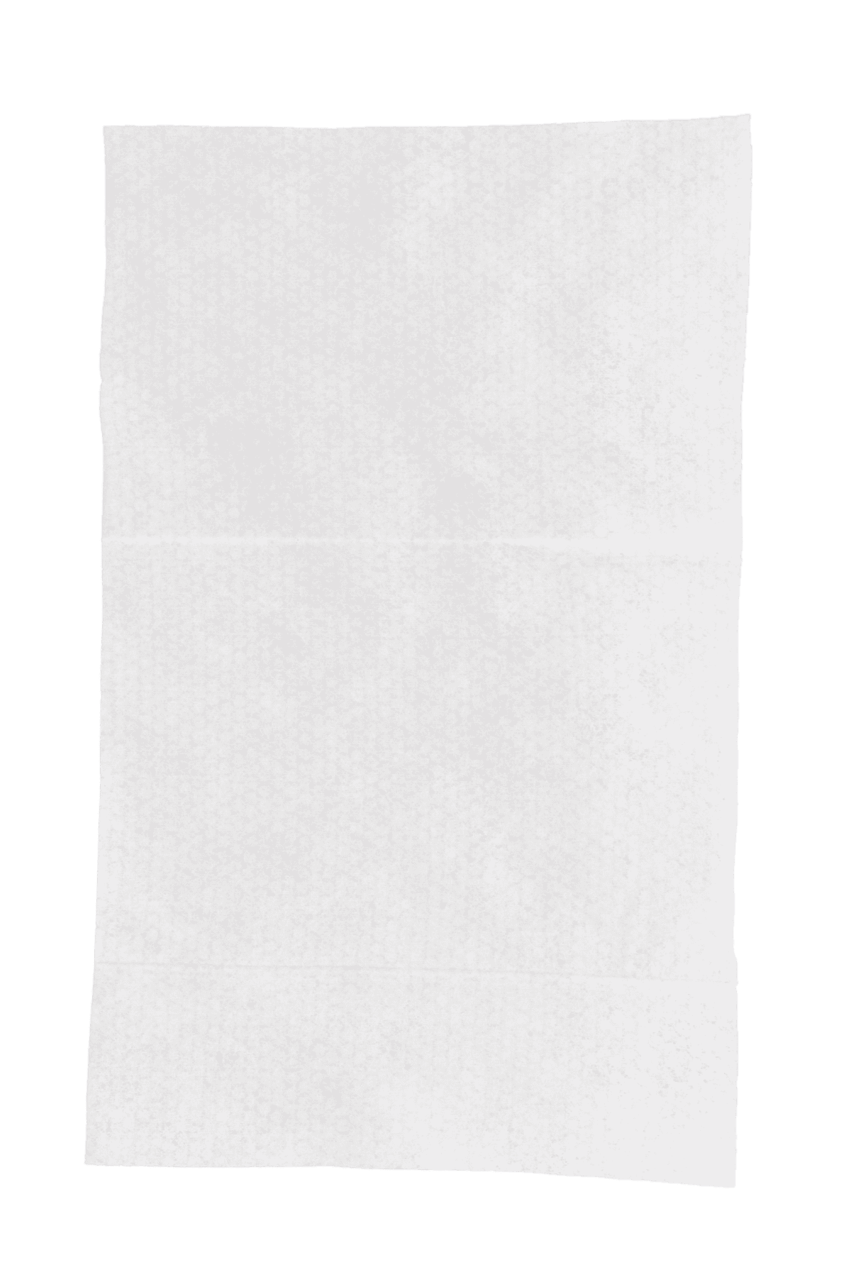 Lingettes Épaisses pour Animaux de Compagnie