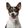 thumbnail image 2 of Goowood Dog Choker Sparkly Rhinestone Bling Necklace Pet Jewelry Collar for Small Dogs and Cats Fancy Decorative Collar for Special Occasions, 2 of 8