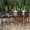 Blue, variant on Panapinka Outdoor Wicker Bar Stools Set of 4,Patio Rattan Barstools for Backyard