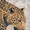 Leopard Painting, variant on Qisvanset Leopard Painting Canvas Print 15.75x11.81 Inches