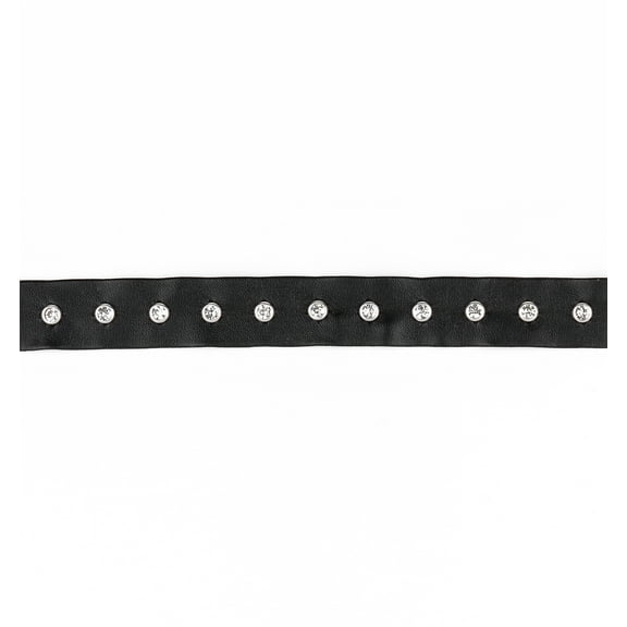 Expo Int'l 10 Yards of Gillian 3/4" Wide Faux Leather Tape Trim Embellished With Rhine