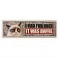 Work Sign Grumpy Cat I Had Fun Once, It Was Awful - Grumpy Cat Desk Sign by Ganz - Walmart.com