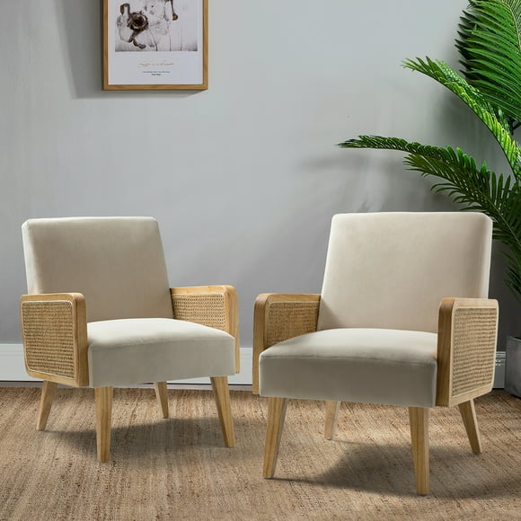 Delphine Upholstered Rattan Cane Accent Chair Set of 2 in Tan
