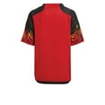 thumbnail image 2 of 2022-2023 Belgium Home Mini Kit, 2 of 2