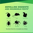 thumbnail image 6 of Mouse Repellent Pouches, Peppermint Oil to Repel Mice and Rats, Rodent Deterrent Squirrel Rat Repellent for House Indoor Attic RV Garage Basement 10 Pouches, 6 of 6