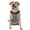 With Accessories, variant on Vsdgher Husky Pattern Dog Harness,No Pull Pet Harness with Soft Padded Handle,Adjustable Reflective Vest with 2 Buckles,4 Slide Buckles,S-XL X-Large