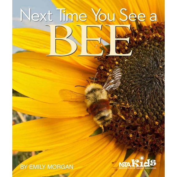 Next Time You See Next Time You See a Bee, (Paperback)