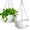 White, variant on 13 Inch 2 Pack Large Self Watering Hanging Planters for Indoor Outdoor Plants, Hanging Plant Pots with Removable 50 Oz Reservoir, Plastic Hanging Basket for Window Porch Garden,