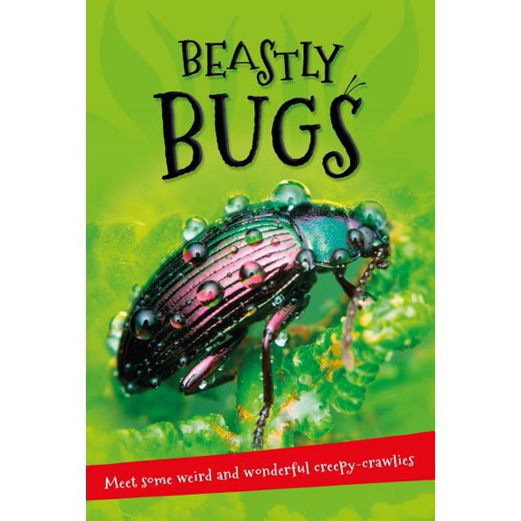 It's all about…: It's All About . . . Beastly Bugs : Everything you want to know about minibeasts in one amazing book (Paperback)