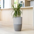 thumbnail image 5 of Dupray Bloom™ Smart Air Purifier, Gray Special Edition with Medical-Grade HEPA-13 Filter and Washable Pre-Filter, 5 of 9