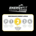 thumbnail image 3 of Native Performance Dog Food Level 2 Chicken Meal and Rice Formula 40lbs, 3 of 8