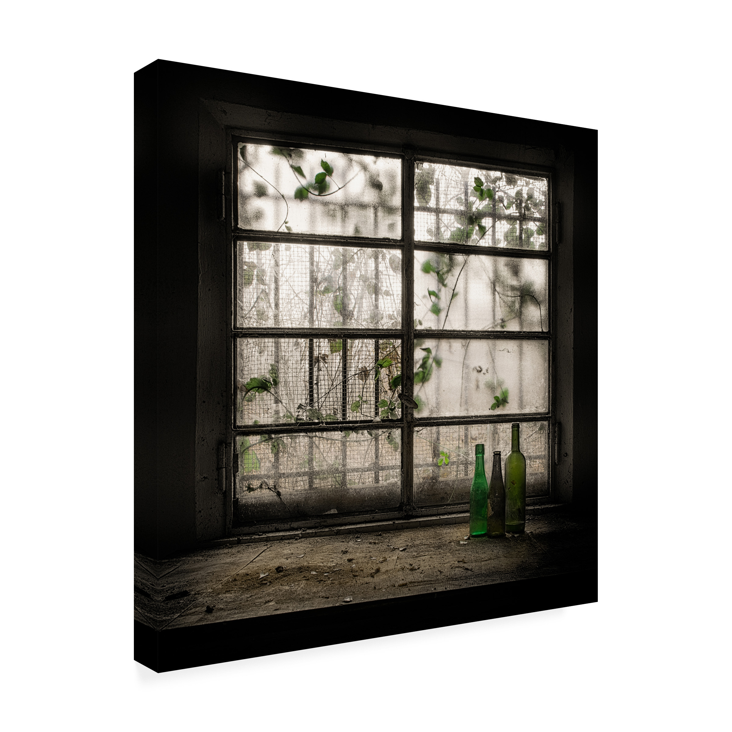 Trademark Fine Art Vito Guarino Still-Life With Glass Bottle Canvas Wall Art - 35x35