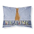thumbnail image 1 of Carolines Treasures BB5643PILLOWCASE Irish Terrier Welcome Fabric Standard Pillowcase, 1 of 2