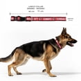 thumbnail image 4 of Collar NFL para perro raza grande Kansas City Chiefs 100% oficial, 4 of 6