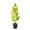 C, variant on LED Palm Tree Lamp 17.72 Inch, USB Powered Warm Light Artificial Tropical Decor, Desk Night Light for Coffee Shop Restaurant Home, Home Decorative Objects