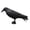 as shown, variant on Realistic Plastic Crow Decoy with Foot Stake for Bird Deterrent Outdoor Garden Statue Heavy Duty All-Season Yard Pest Control Decoration