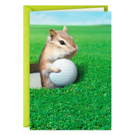 Hallmark Funny Father's Day Card (Gopher Golfer)
