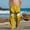Yellow, variant on ATOGUTA Lounge Pants for Boy Funny Graphic Sweatpants Athletic Sports Pants for Kids Size 4T-14, Orange