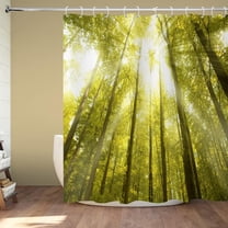 Sunshine Birch Forest Shower Curtain Nature Jungle Landscape Shower Curtains for Bathroom Decor, Waterproof Polyester Fabric Shower Curtain 72x72 Inch with 12 Hooks