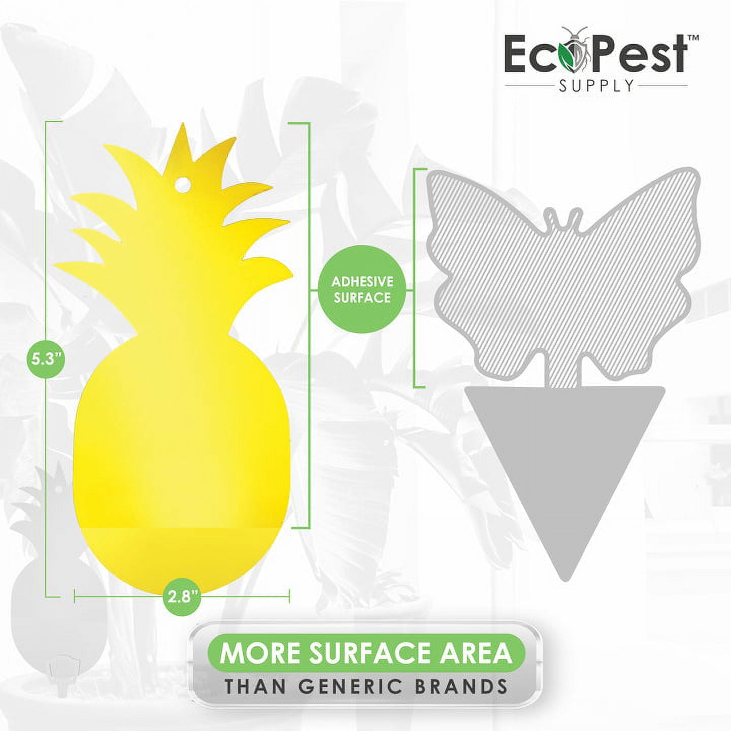 EcoCanucks StickieTraps (50 Pack) - Sticky Fruit Fly Traps & Gnat
