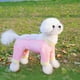 thumbnail image 2 of Ranphy Cool Pet Dirt Dog Pants Para Perros Extrapequeños Y Pequeños. Mono Sin Espalda Para Cachorros, Transpirable, Para Yorkshire Y Chihuahua. Ropa De Verano Para Gatos., 2 of 6