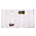 thumbnail image 4 of El Champán, El Cava Y Otros Vinos Espumosos Lexus Editores Atlas Ilustrado, 4 of 4