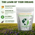 thumbnail image 5 of Earthwise Southwest Native Meadowscaping Mix, 1 lb, Alternative Lawn & Wildflower Seeds, Drought-Tolerant, Covers 1000 Sq. ft., 5 of 10