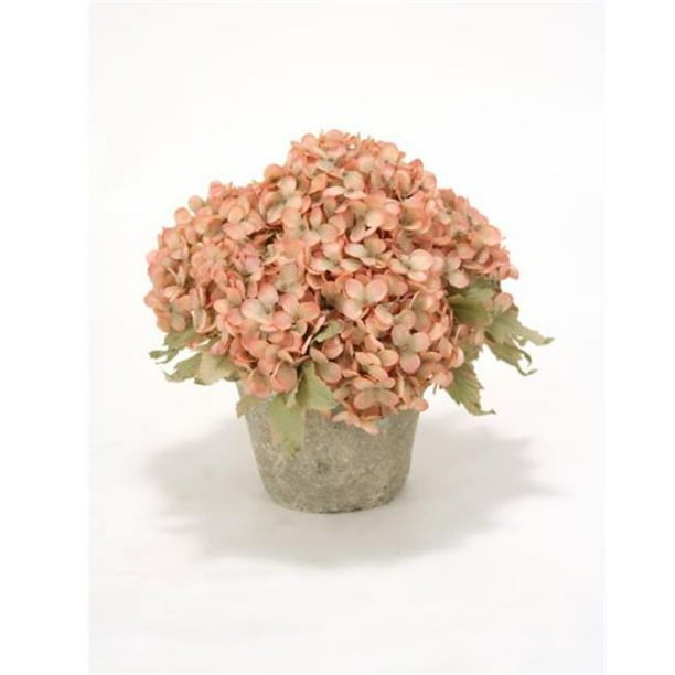 Hydrangeas in Aged Terra Cotta Pot, Pink