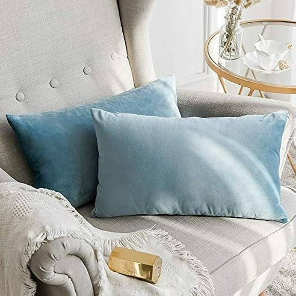 Eryueer Velvet Soft Soild Microfiber Decorative Square Pillow Case Throw Cushion Cover for Sofa Bedroom with Invisible Zipper Light Blue 12"x20",2 Pieces