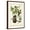 Brown Frame, variant on Art.com Baltimore Oriole Art Print by John James Audubon, White Frame Wall Art, 21" x 29"