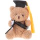thumbnail image 1 of KAKOWELY Mini oso de graduación, oso de flores, ramo de decoración, regalo de graduación, 1 of 5