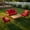 Red, variant on Topcobe 4 Pieces Patio Wicker Rattan Furniture Set for Lawn Backyard, Acacia Wood Patio Outdoor Patio Furniture, Brown