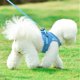 thumbnail image 3 of Arnés ajustable para perros Apmemiss, collar y correa, arnés antitirones para perros pequeños, medianos, cachorros y gatos, ideal para caminar al aire libre, correr, chaleco reflectante acolchado de, 3 of 8