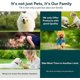 thumbnail image 4 of ID Dog Bowl Reusable Pet Bowl Nonskid Cat Bowl Double Water and Food Bowls, Cute Pet Feeder Bowls for Puppy Medium Dog, 4 of 4