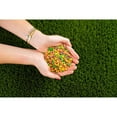 thumbnail image 2 of Nerds Rainbow Candy 142 g, 2 of 6