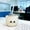 F, variant on Organization Storage Clearance Sale! Cute Cats Beverage Bottle Disposable PET Beverage Milk Tea Bottle 500ml Portable Plastic Bottle With Lid Equipped With Straw