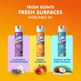 thumbnail image 6 of Lysol Brand New Day Disinfectant Sanitizing Antibacterial Sprays, Mango & Hibiscus, 19 oz, 2 Pack, 6 of 7