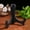 Black, variant on Esho Plate Easel Photo Picture Frame Pedestal Display Stand Holder