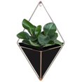 thumbnail image 4 of 2 Pcs/set Hanging Vases Geometric Wall Decoration Container For Succulent Plants Mini Cactus, 4 of 4