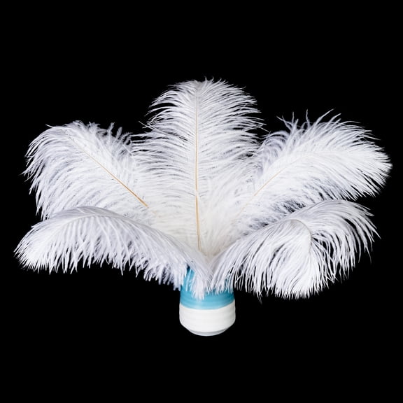 20Pcs White Ostrich Feathers 10-12 inch (25-30cm) Bulk Feathers for Home Decoration and DIY Clothes Decoration, Gatsby Decorations