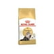 thumbnail image 1 of Alimento Seco para Perro Adulto Royal Canin Raza Persa 3.1 Kg Croquetas para Gato, 1 of 3