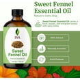 thumbnail image 3 of SVA Sweet Fennel Essential Oil – 4 Fl Oz – 100% Natural Fennel Oil - for Diffuser, Hair Care, Face, Skin Care, Aromatherapy, Scalp and Body Massage, Soap and Candle Making – with Dropper, 3 of 8