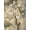 Unframed, variant on Art.com Neutral Branches II Crop Art Print by Silvia Vassileva, 12" x 16"