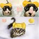 thumbnail image 2 of Gorros grandes para perros Ducha para perros Toma fija Perros Ducha Baño S Gorro para mascotas Ducha para mascotas Gorro para mascotas con gorro ajustable para orejas - Dorado, 2 of 5