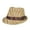 Light Brown Zebra, variant on Animal Print Ribbon Band Fedora Straw Hat