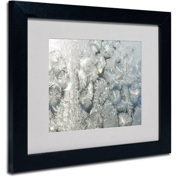 Trademark Fine Art "Frost Pattern in the Sun" Canvas Art by Kurt Shaffer, Black Frame