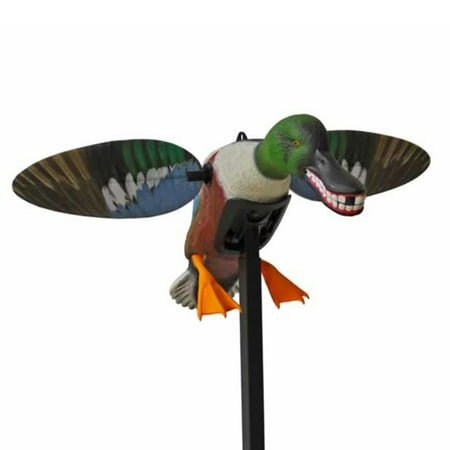 UPC: 0816740004129 | Mojo Outdoors   Spoonzilla  Shoveler Duck  HW2490  1 Piece  3 Pounds Assembled Product Weight